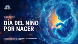 VIDEO MI PRIMERA CASA - NIÑO POR NACER 25-03-26 VIDEO MI PRIMERA CASA - NIÑO POR NACER 25-03-26