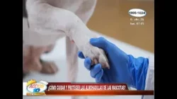 Si tu perro se lame las patas, podría tener quemaduras