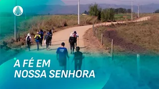 Aparecida se prepara para a Novena e Festa da Padroeira 2026 | TJ Aparecida