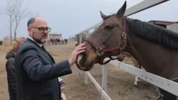 В центре образования «Вектор» Владивостока откроют шахматный класс.