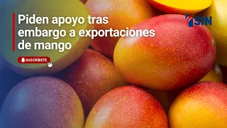 Piden apoyo tras embargo a exportaciones de mango