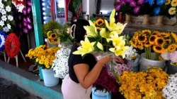 Floral arrangements starting at 50 córdobas for All Souls' Day