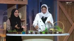 الذهب الأخضر: كيف نزرع الحياة في بيوتنا مع خبيرات الزراعة المستدامة