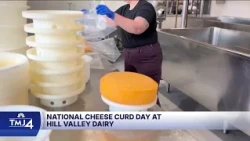 Hill Valley Dairy is Milwaukee's only urban cheese factory, pairing fresh curds with craft cocktails