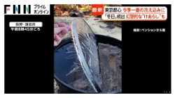 今季一番の冷え込みで冬日続出 幻想的な“けあらし”も 都心10.4℃ ホカホカの焼きいもやおでんに行列 高値の野菜に影響も（2026年10月29日）