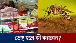ডেঙ্গু কখন বিপজ্জনক? রোগী, হাসপাতাল ও নগরবাসীর করণীয় কী? | Dengue | Bangladesh | Jamuna TV