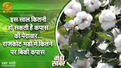 Mandi Khabar: इस साल कितनी हो सकती है कपास की पैदावार.. राजकोट मंडी में कितने पर बिकी कपास |6/4/2026 Mandi Khabar: इस साल कितनी हो सकती है कपास की पैदावार.. राजकोट मंडी में कितने पर बिकी कपास |6/4/2026