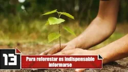 Para reforestar es indispensable informarse