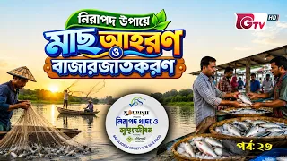 নিরাপদ উপায়ে মাছ আহরণ ও বাজারজাতকরণ | নিরাপদ খাদ্য ও সুস্থ জীবন | EP-23 | BSSF | GTV