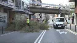 Una setantena d'arbres caiguts durant l'episodi de vent