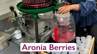 From Farm to You: Discovering Nebraska Specialty Crops (Aronia Berries)