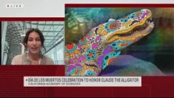 Día de los Muertos celebration to honor Claude the Alligator
