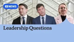 Liberals Andrew Hastie, Angus Taylor yet to declare leadership intentions | ABC NEWS