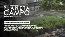 Rooftop garden at mall turns waste into food in São Paulo | Planeta Campo 18 PT 4