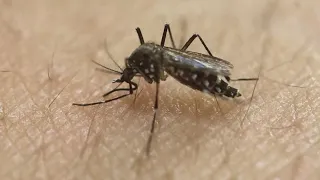 Elk Grove family shares warning after loved one hospitalized with West Nile virus