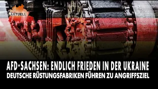 AfD Saxony: German arms factories become targets