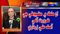 There is a need for strength in the country today: Asif Ali Zardari | Sindh TV News