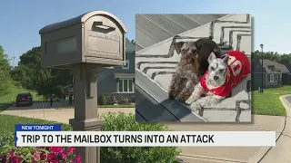 KCK family walking to mailbox attacked by three dogs