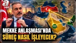 "NOT AN OFFENSIVE, BUT A DEFENSIVE FORCE": How Will the Process Work Under the Mecca Agreement? |...