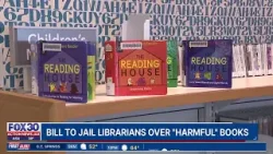 Georgia librarians could be jailed for providing 'harmful' books to kids under proposed law