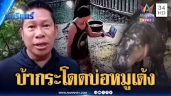 หนุ่มบ้าคอนเทนต์กระโดดไลฟ์สดบ่อหมูเด้ง | ข่าวเที่ยงอมรินทร์ | 18 มี.ค. 69