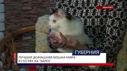Лучшая домашняя кошка мира - в гостях на «Барсе»