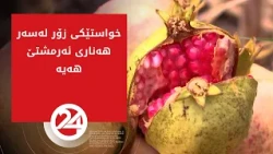خواستێکی زۆر لەسەر هەناری ئەرمشتێ هەیە