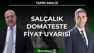 Tarım Analiz - Salçalık Domateste Fiyat Uyarısı | 4 Ağustos 2026