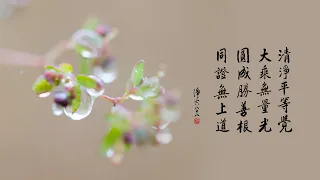 淨空老法師｜大經專修（二）｜供佛，什麼供具最重要-第0099集