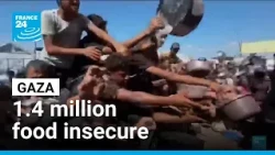 Hunger and malnutrition stalk Gazans, a year on from ceasefire • FRANCE 24 English