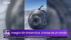 Un român ajuns la capătul lumii, în Antarctica, printre pinguini și foci