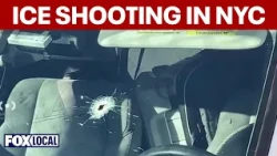 Former NYPD detective analyzes ICE shooting in NYC