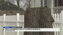 Вырубка деревьев в районе Ли-Саммит вызвала споры в связи с проектом благоустройства города.