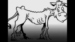 Editorial de NTN: "Otro apagón nacional"