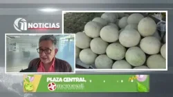 Confusión en el sector exportador por aranceles impuestos por Estados Unidos. Confusión en el sector exportador por aranceles impuestos por Estados Unidos.