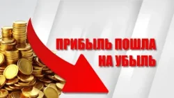 Специальный репортаж «Прибыль пошла на убыль»