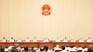 Standing Committee of the National People's Congress reviews draft laws