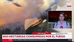 Balance de incendios forestales en el Biobío: "El combate va a ser extremadamente difícil"