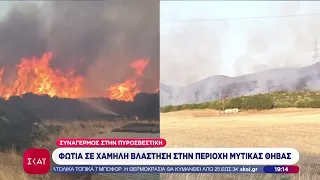 Φωτιά σε χαμηλή βλάστηση στην περιοχή Μύτικας Θήβας - Συναγερμός στην πυροσβεστική | 02/09/2026