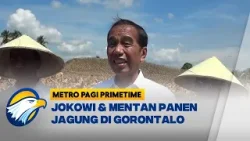 Musim Panen, Jokowi Pastikan Produksi Jagung Meningkat