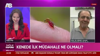 SAĞLIK RAPORU / PROF. DR. MEHMET CEYHAN / AS TV / KENEDE İLK MÜDAHALE NE OLMALI?