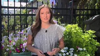 Garden center on Leetsdale Drive hit 8 times since June, owner says theft has cost him $30,000