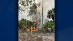 Firefighters urge caution as dry and windy conditions heighten brush fire risk in Southwest Florida