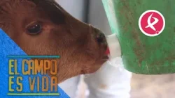 Mario y su amiguino | El campo es vida