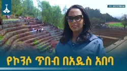በሀገር ውስጥ ዕውቀት ተመስርቶ በኮንሶዎች የእርከን ጥበብ ተፈጥሮን የመጠበቅ ሥራ |Addis Ababa | Nature Conservation| EBCDOTSTREAM