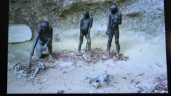 Izložba " Religije kamenog doba"