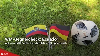 WM-Gegnercheck: Ecuador