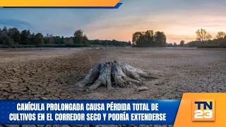 Prolonged drought causes total crop loss in the Dry Corridor and could extend further