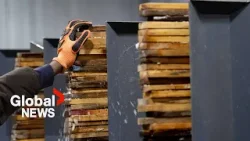 Trump's tariffs force Canada's lumber industry to switch to metric system Trump's tariffs force Canada's lumber industry to switch to metric system