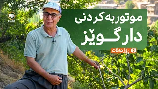 فیچەر: موتوربەکردنى گوێز